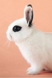 生存恐怖《灰岭事件》6月10日发售 新预告发布